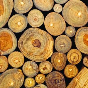 Ubrousky na dekupáž - Dřevěné trámy - 1ks