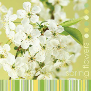 Ubrousky na dekupáž - Třešňové květy - 1ks