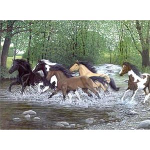 Kreativní set na malování - Běžící koně