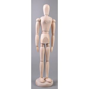 Dřevěný model lidského těla - žena - 40 cm