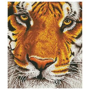 Diamantový obraz - Bengálský tygr 36 x 42 (diamantové malování)