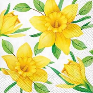 Ubrousky na dekupáž Daffodils in Bloom - 1 ks (ubrousky na dekupáž)