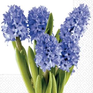 Ubrousky na dekupáž Hyacinths - 1 ks (ubrousky na dekupáž)