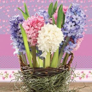 Ubrousky na dekupáž Hyacinths in a Basket - 1 ks (ubrousky na dekupáž)