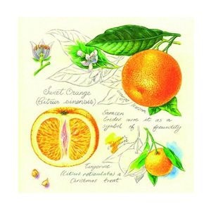 Ubrousky na dekupáž Pomeranče - 1 ks (ubrousky na dekupáž)