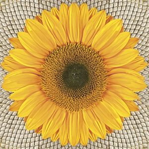 Ubrousky na dekupáž Sunflower on Seeds - 1 ks (ubrousky na dekupáž)